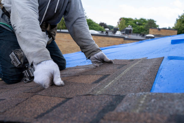Best Roof Gutter Cleaning  in Aledo, IL