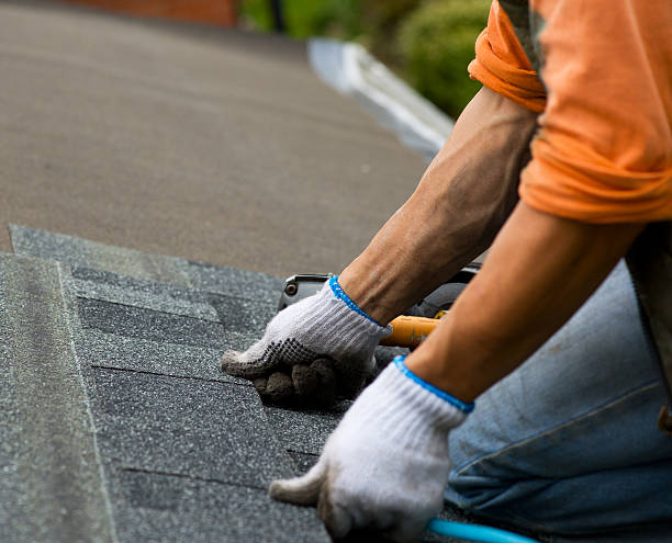 Best Storm Damage Roof Repair  in Aledo, IL